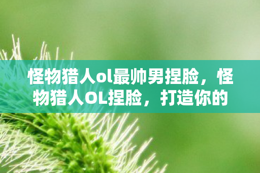 怪物猎人ol最帅男捏脸,怪物猎人OL捏脸,打造你的专属猎人形象 怪物猎人ol最帅男捏脸,怪物猎人OL捏脸,打造你的专属猎人形象