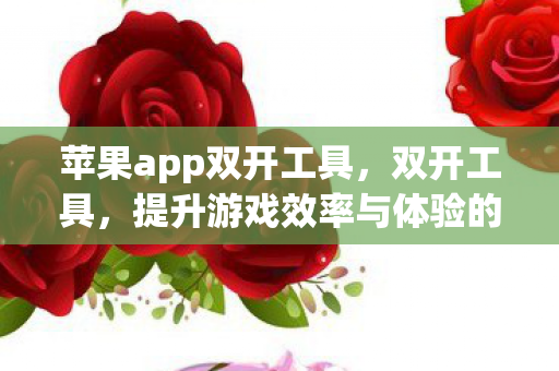 苹果app双开工具,双开工具,提升游戏效率与体验的新选择 苹果app双开工具,双开工具,提升游戏效率与体验的新选择