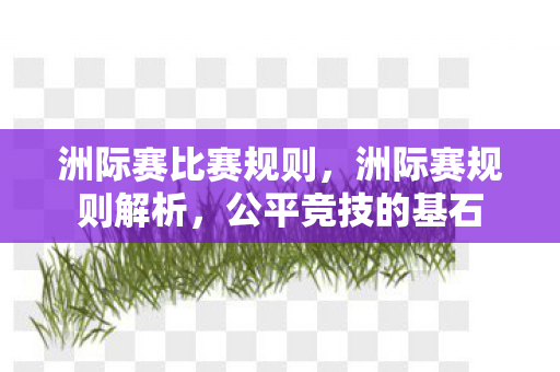 洲际赛比赛规则,洲际赛规则解析,公平竞技的基石 洲际赛比赛规则,洲际赛规则解析,公平竞技的基石