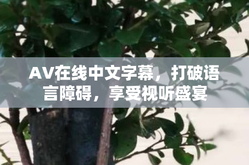 AV在线中文字幕,打破语言障碍,享受视听盛宴 AV在线中文字幕,打破语言障碍,享受视听盛宴