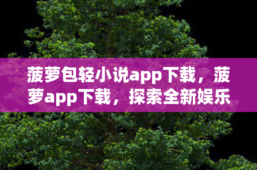 菠萝包轻小说app下载,菠萝app下载,探索全新娱乐体验 菠萝包轻小说app下载,菠萝app下载,探索全新娱乐体验