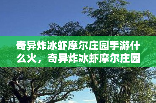 奇异炸冰虾摩尔庄园手游什么火,奇异炸冰虾摩尔庄园,探索梦幻世界的奇妙之旅 奇异炸冰虾摩尔庄园手游什么火,奇异炸冰虾摩尔庄园,探索梦幻世界的奇妙之旅