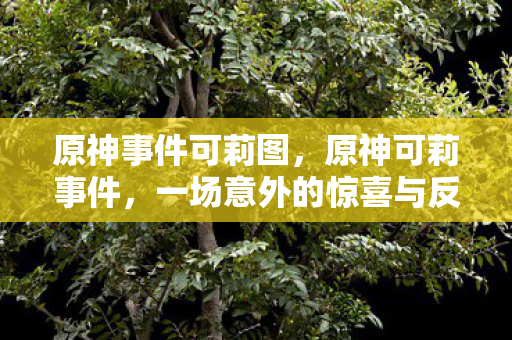 原神事件可莉图,原神可莉事件,一场意外的惊喜与反思 原神事件可莉图,原神可莉事件,一场意外的惊喜与反思
