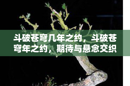 斗破苍穹几年之约,斗破苍穹年之约,期待与悬念交织的盛宴 斗破苍穹几年之约,斗破苍穹年之约,期待与悬念交织的盛宴