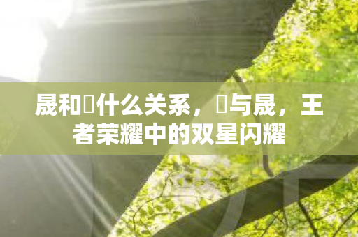 晟和暃什么关系,暃与晟,王者荣耀中的双星闪耀 晟和暃什么关系,暃与晟,王者荣耀中的双星闪耀