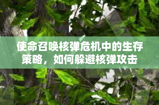使命召唤核弹危机中的生存策略,如何躲避核弹攻击 使命召唤核弹危机中的生存策略,如何躲避核弹攻击