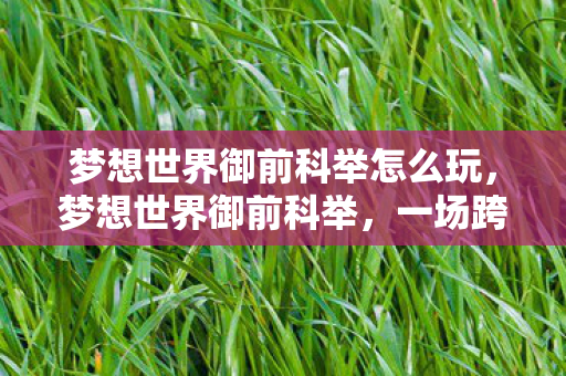 梦想世界御前科举怎么玩,梦想世界御前科举,一场跨越时空的文化盛宴 梦想世界御前科举怎么玩,梦想世界御前科举,一场跨越时空的文化盛宴