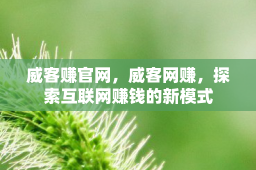 威客赚官网,威客网赚,探索互联网赚钱的新模式 威客赚官网,威客网赚,探索互联网赚钱的新模式