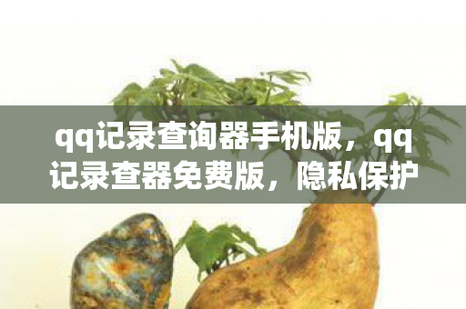 qq记录查询器手机版,qq记录查器免费版,隐私保护的新利器 qq记录查询器手机版,qq记录查器免费版,隐私保护的新利器