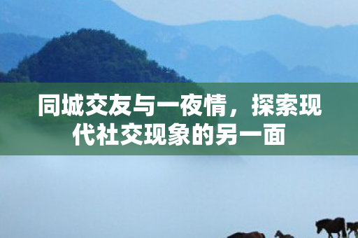 同城交友与一夜情，探索现代社交现象的另一面