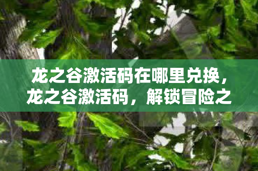 龙之谷激活码在哪里兑换,龙之谷激活码,解锁冒险之旅的钥匙 龙之谷激活码在哪里兑换,龙之谷激活码,解锁冒险之旅的钥匙