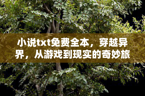小说txt免费全本,穿越异界,从游戏到现实的奇妙旅程 小说txt免费全本,穿越异界,从游戏到现实的奇妙旅程