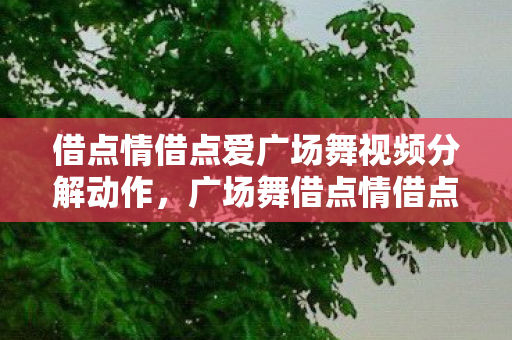 借点情借点爱广场舞视频分解动作,广场舞借点情借点爱分解动作详解 借点情借点爱广场舞视频分解动作,广场舞借点情借点爱分解动作详解