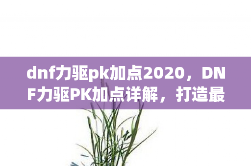 dnf力驱pk加点2020,DNF力驱PK加点详解,打造最强战斗力的关键 dnf力驱pk加点2020,DNF力驱PK加点详解,打造最强战斗力的关键
