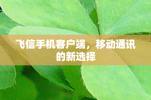 飞信手机客户端,移动通讯的新选择 飞信手机客户端,移动通讯的新选择