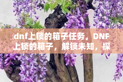 dnf上锁的箱子任务,DNF上锁的箱子,解锁未知,探索无限可能 dnf上锁的箱子任务,DNF上锁的箱子,解锁未知,探索无限可能