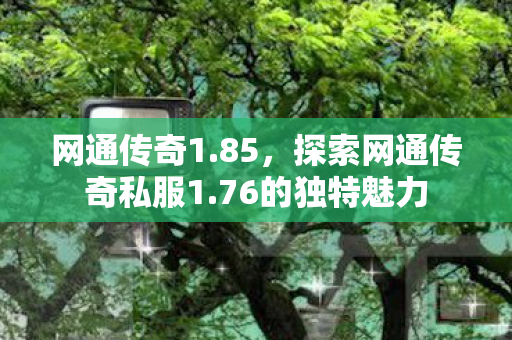网通传奇1.85,探索网通传奇私服1.76的独特魅力 网通传奇1.85,探索网通传奇私服1.76的独特魅力