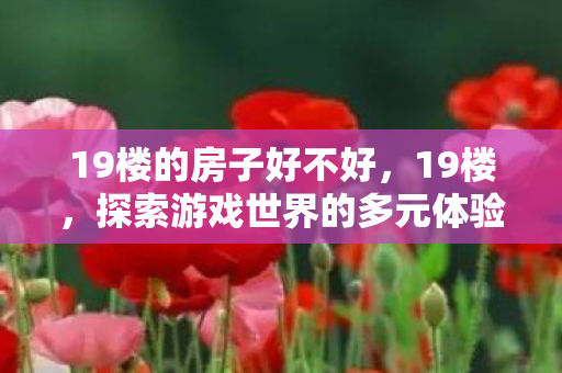 19楼的房子好不好,19楼,探索游戏世界的多元体验 19楼的房子好不好,19楼,探索游戏世界的多元体验