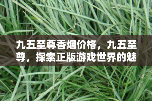 九五至尊香烟价格,九五至尊,探索正版游戏世界的魅力 九五至尊香烟价格,九五至尊,探索正版游戏世界的魅力