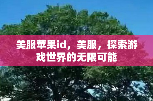 美服苹果id,美服,探索游戏世界的无限可能 美服苹果id,美服,探索游戏世界的无限可能