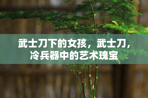武士刀下的女孩，武士刀，冷兵器中的艺术瑰宝