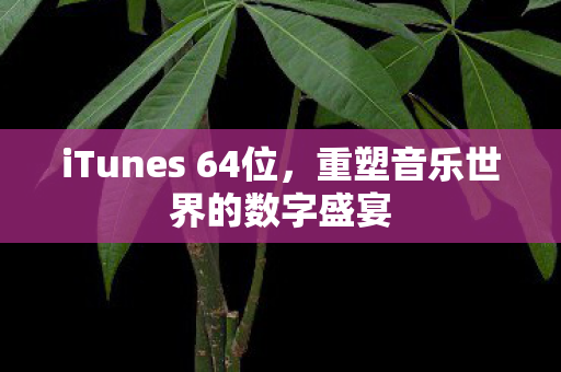 iTunes 64位,重塑音乐世界的数字盛宴 iTunes 64位,重塑音乐世界的数字盛宴