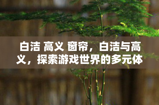 白洁 高义 窗帘，白洁与高义，探索游戏世界的多元体验