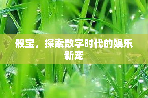 骰宝，探索数字时代的娱乐新宠