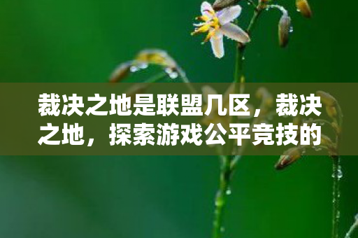 裁决之地是联盟几区,裁决之地,探索游戏公平竞技的边界 裁决之地是联盟几区,裁决之地,探索游戏公平竞技的边界