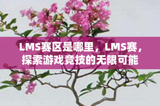 LMS赛区是哪里,LMS赛,探索游戏竞技的无限可能 LMS赛区是哪里,LMS赛,探索游戏竞技的无限可能