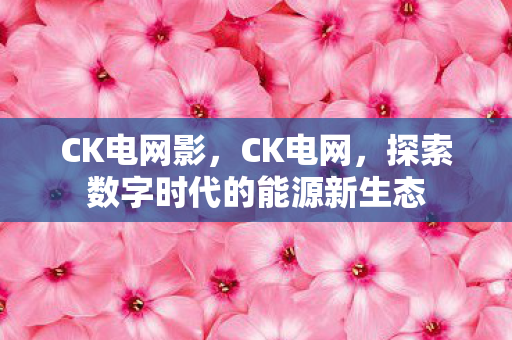 CK电网影，CK电网，探索数字时代的能源新生态