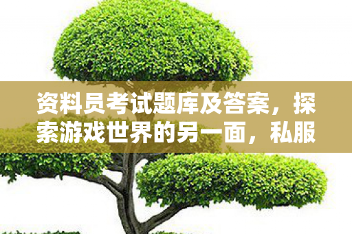 资料员考试题库及答案,探索游戏世界的另一面,私服游戏的兴起与影响 资料员考试题库及答案,探索游戏世界的另一面,私服游戏的兴起与影响