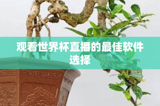 观看世界杯直播的最佳软件选择 观看世界杯直播的最佳软件选择