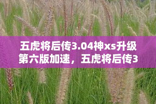 五虎将后传3.04神xs升级第六版加速，五虎将后传3.04神xs升级版，经典再现，策略升级