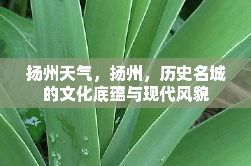 扬州天气，扬州，历史名城的文化底蕴与现代风貌