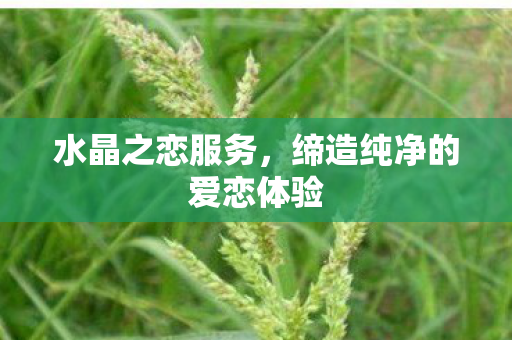 水晶之恋服务,缔造纯净的爱恋体验 水晶之恋服务,缔造纯净的爱恋体验
