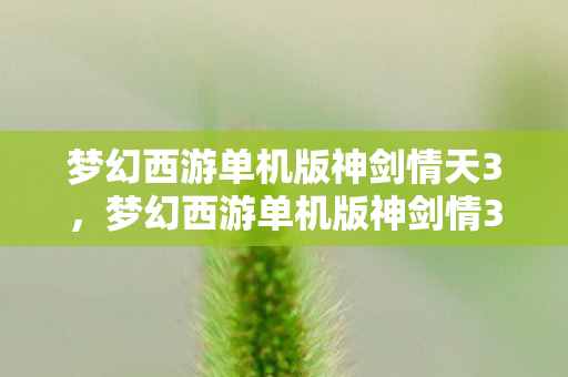 梦幻西游单机版神剑情天3,梦幻西游单机版神剑情3,重温经典,再续前缘 梦幻西游单机版神剑情天3,梦幻西游单机版神剑情3,重温经典,再续前缘