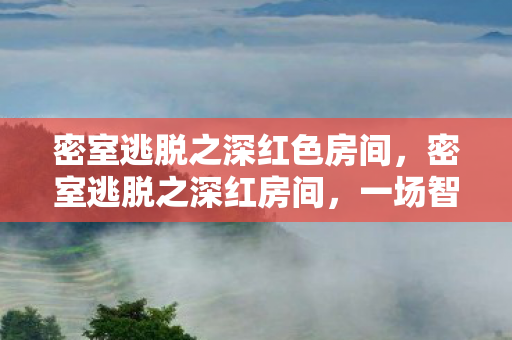 密室逃脱之深红色房间，密室逃脱之深红房间，一场智力与勇气的较量
