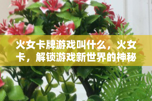 火女卡牌游戏叫什么,火女卡,解锁游戏新世界的神秘钥匙 火女卡牌游戏叫什么,火女卡,解锁游戏新世界的神秘钥匙