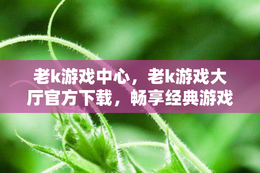 老k游戏中心,老k游戏大厅官方下载,畅享经典游戏的便捷途径 老k游戏中心,老k游戏大厅官方下载,畅享经典游戏的便捷途径
