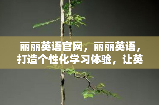 丽丽英语官网,丽丽英语,打造个性化学习体验,让英语学习更有趣 丽丽英语官网,丽丽英语,打造个性化学习体验,让英语学习更有趣