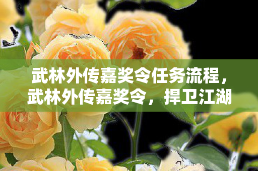 武林外传嘉奖令任务流程，武林外传嘉奖令，捍卫江湖正义，共筑武林辉煌