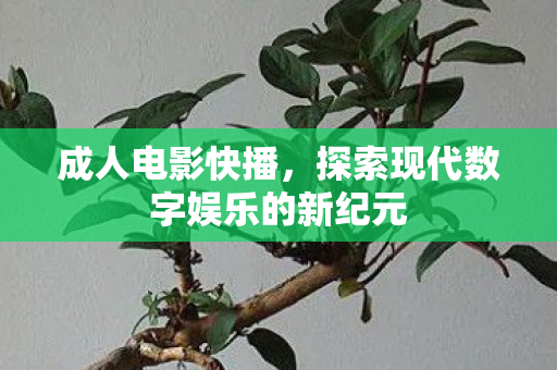 成人电影快播,探索现代数字娱乐的新纪元 成人电影快播,探索现代数字娱乐的新纪元