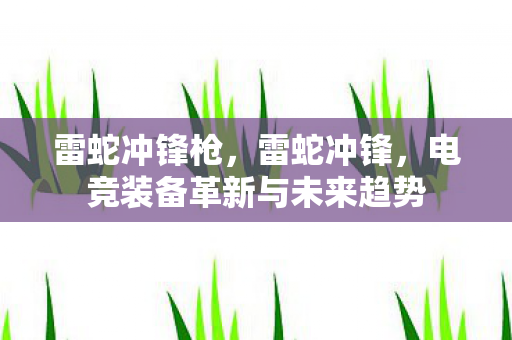 雷蛇冲锋枪,雷蛇冲锋,电竞装备革新与未来趋势 雷蛇冲锋枪,雷蛇冲锋,电竞装备革新与未来趋势