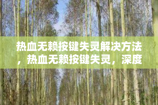热血无赖按键失灵解决方法,热血无赖按键失灵,深度解析与解决方案 热血无赖按键失灵解决方法,热血无赖按键失灵,深度解析与解决方案