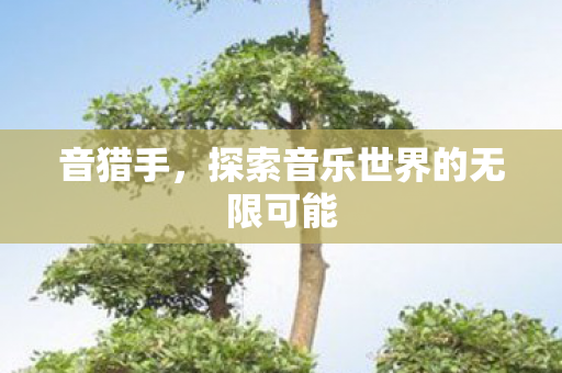 音猎手,探索音乐世界的无限可能 音猎手,探索音乐世界的无限可能