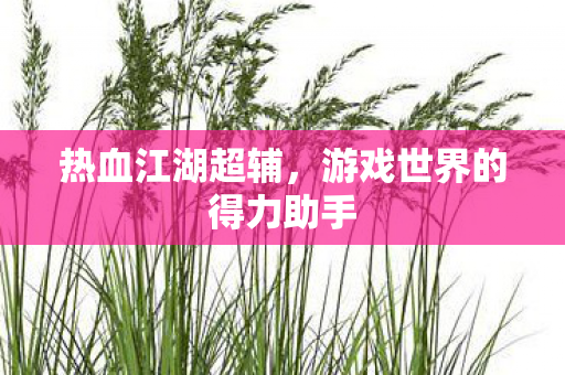 热血江湖超辅,游戏世界的得力助手 热血江湖超辅,游戏世界的得力助手