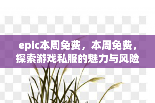 epic本周免费,本周免费,探索游戏私服的魅力与风险 epic本周免费,本周免费,探索游戏私服的魅力与风险
