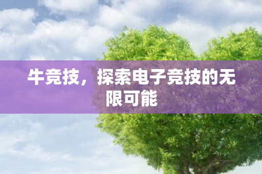 牛竞技,探索电子竞技的无限可能 牛竞技,探索电子竞技的无限可能