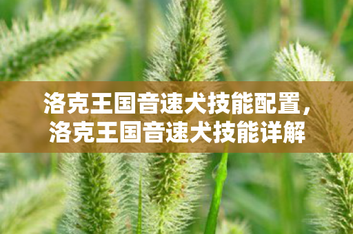 洛克王国音速犬技能配置,洛克王国音速犬技能详解 洛克王国音速犬技能配置,洛克王国音速犬技能详解